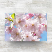 Cherry Blossom in lente Tissuepapier