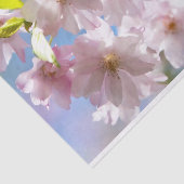 Cherry Blossom in lente Tissuepapier (Detail)