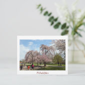 Cherry Blossom in Philadelphia Briefkaart (Staand voorkant)