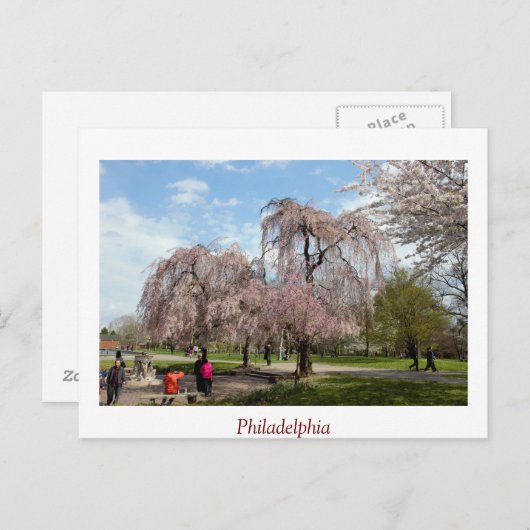 Cherry Blossom in Philadelphia Briefkaart (Voorkant / Achterkant)