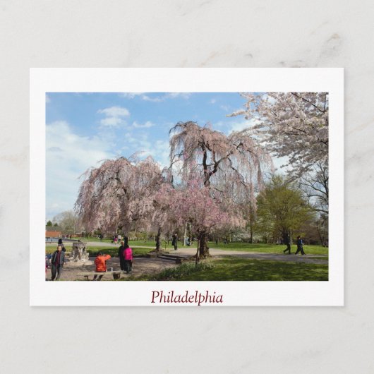 Cherry Blossom in Philadelphia Briefkaart (Voorkant)