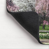Cherry Blossom in Philadelphia Mousepad Muismat (Hoek)
