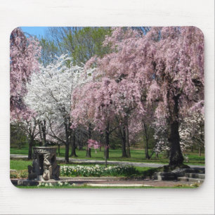 Cherry Blossom in Philadelphia Mousepad Muismat