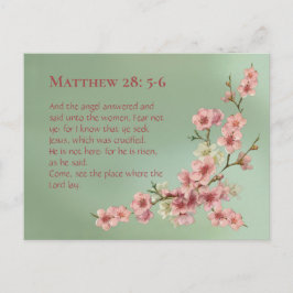 Cherry Blossom in roze en Blauwgroen Briefkaart