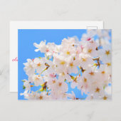Cherry Blossom in Spring Briefkaart (Voorkant / Achterkant)