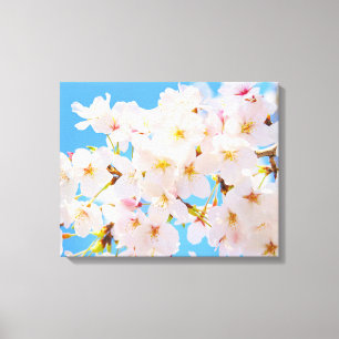 Cherry Blossom in Spring Canvas Afdruk