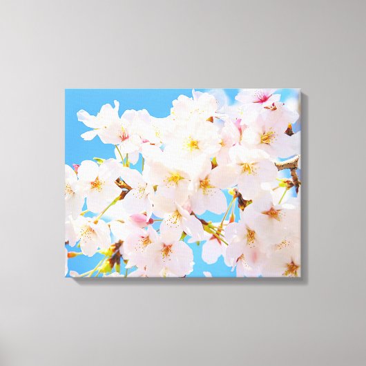 Cherry Blossom in Spring Canvas Afdruk (Voorkant)