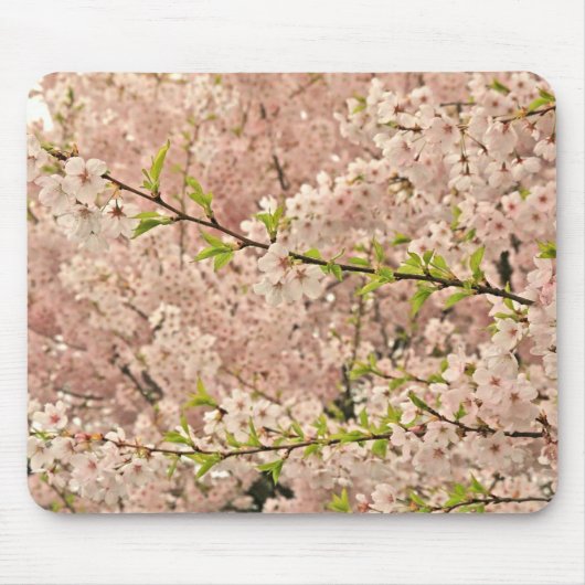 Cherry Blossom in Spring Muismat (Voorkant)