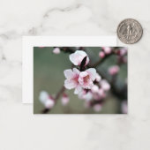 Cherry Blossom in Spring Notitiekaartje (Voorkant / Achterkant in situ)