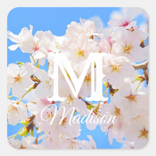 Cherry Blossom in Spring Vierkante Sticker (Voorkant)