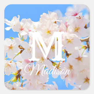 Cherry Blossom in Spring Vierkante Sticker