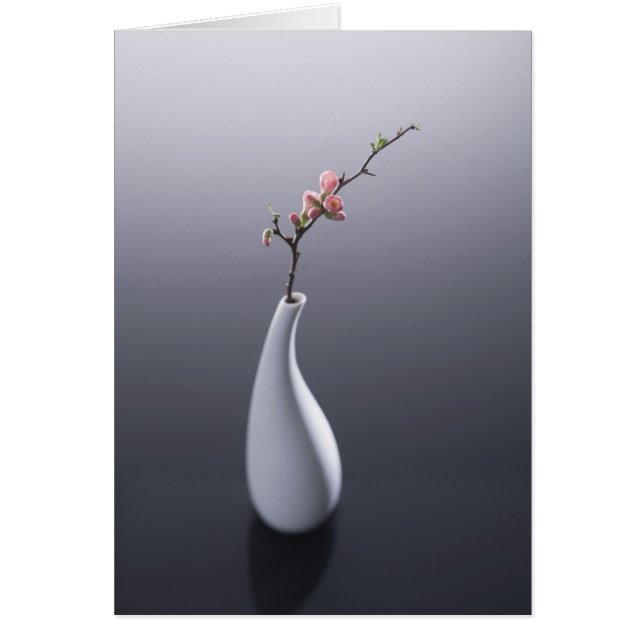 Cherry blossom in vase (Voorkant)