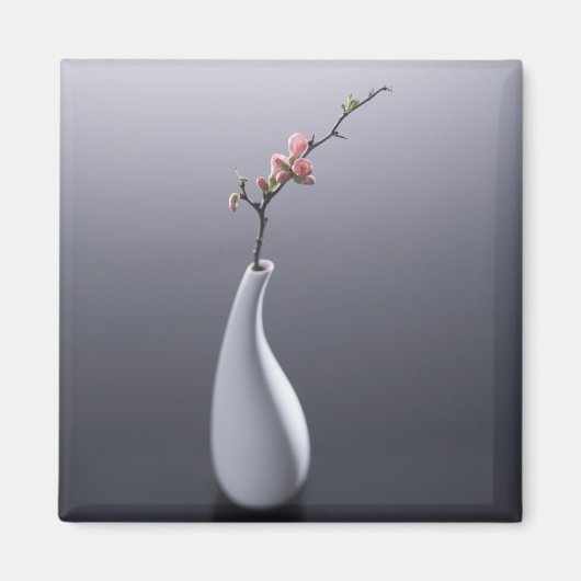 Cherry blossom in vase magneet (Voorkant)