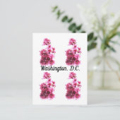Cherry Blossom in Washington D.C. Briefkaart (Staand voorkant)