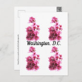 Cherry Blossom in Washington D.C. Briefkaart (Voorkant / Achterkant)