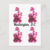 Cherry Blossom in Washington D.C. Briefkaart (Voorkant)
