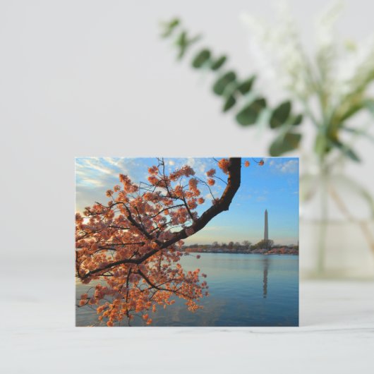 Cherry Blossom in Washington D.C. Briefkaart (Staand voorkant)