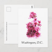 Cherry Blossom in Washington D.C. Briefkaart (Voorkant / Achterkant)