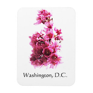 Cherry Blossom in Washington D.C. Magneet