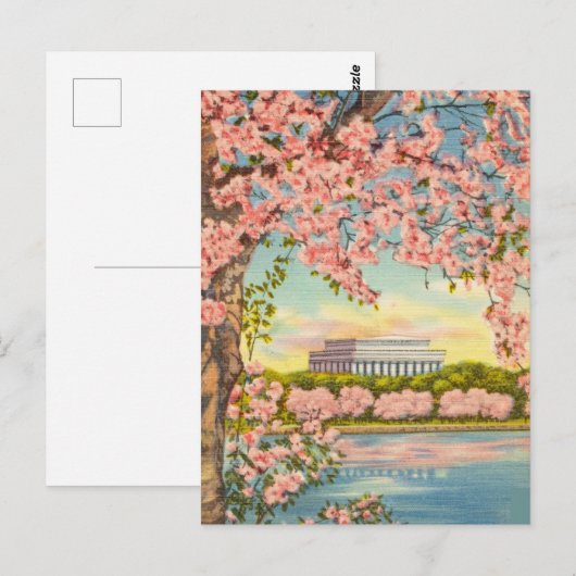 Cherry Blossom in Washington DC. Briefkaart (Voorkant / Achterkant)