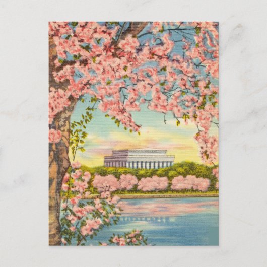 Cherry Blossom in Washington DC. Briefkaart (Voorkant)