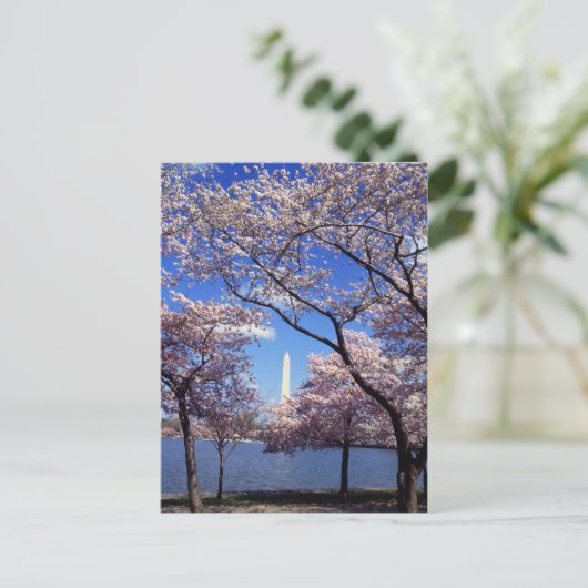 Cherry Blossom in Washington DC briefkaart (Staand voorkant)