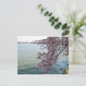 Cherry Blossom in Washington DC Briefkaart (Staand voorkant)