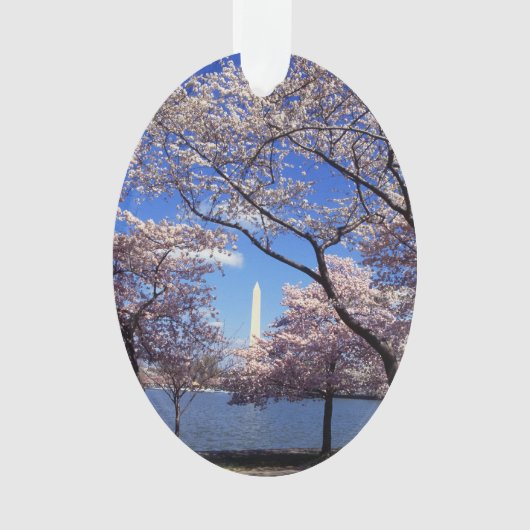 Cherry blossom in Washington DC Foto Ornament (voorkant)