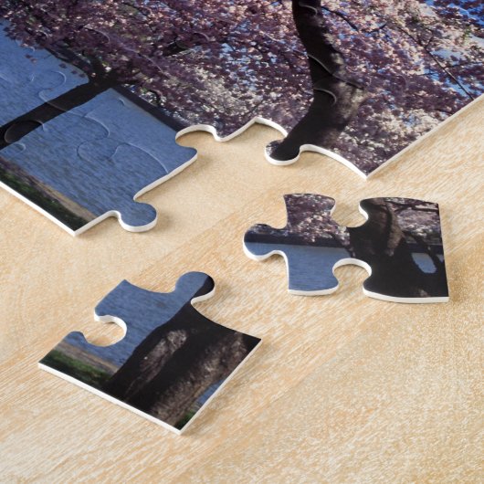 Cherry Blossom in Washington DC Legpuzzel (Zijkant)