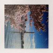 Cherry Blossom in Washington, DC Legpuzzel (Horizontaal)