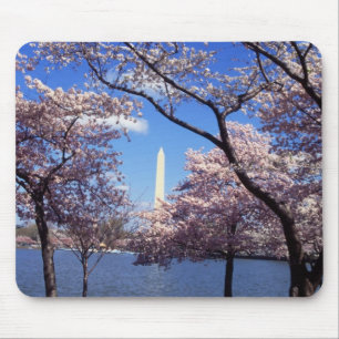 Cherry Blossom in Washington DC mousepad Muismat