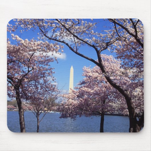 Cherry Blossom in Washington DC mousepad Muismat (Voorkant)