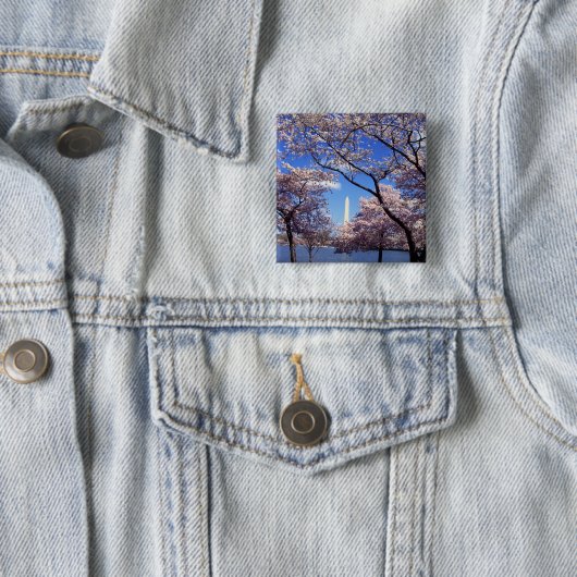 Cherry Blossom in Washington DC pinback button (In situ)