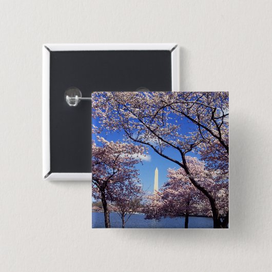 Cherry Blossom in Washington DC pinback button (Voorkant /achterkant)