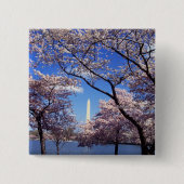 Cherry Blossom in Washington DC pinback button (Voorkant)