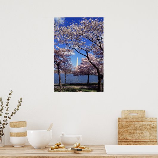 Cherry Blossom in Washington DC poster print (Keuken)