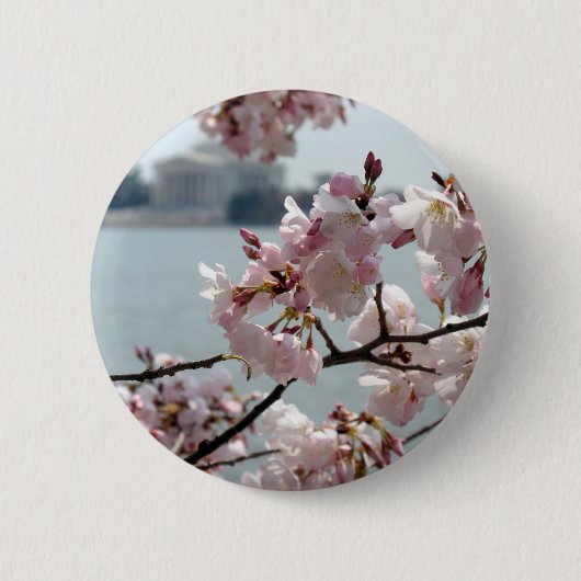 Cherry Blossom in Washington DC Ronde Button 5,7 Cm (Voorkant)