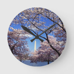 Cherry Blossom in Washington DC Ronde Klok