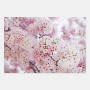 Cherry Blossom Inpakpapier Vel