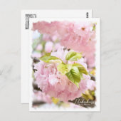 Cherry Blossom "Itokukuri" ポストカード Briefkaart (Voorkant / Achterkant)