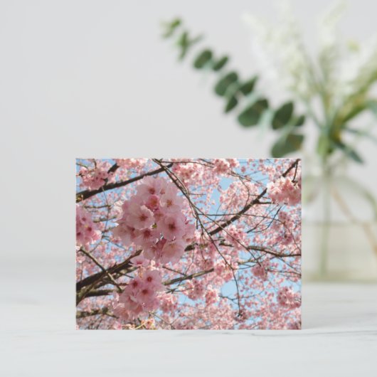 Cherry Blossom: Japan Briefkaart (Staand voorkant)