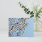 Cherry Blossom: Japan Briefkaart (Staand voorkant)