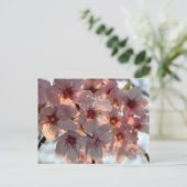 Cherry Blossom: Japan Briefkaart (Staand voorkant)