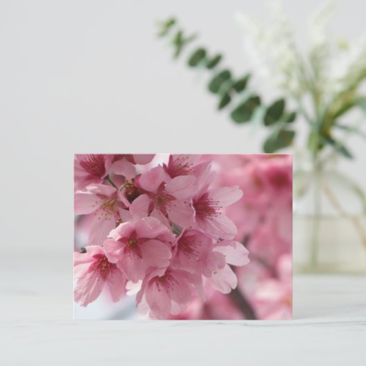 Cherry Blossom: Japan Briefkaart (Staand voorkant)