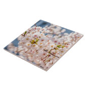 Cherry blossom Japan florroze  uniek Tegeltje (Zijkant)