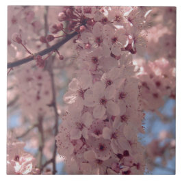Cherry blossom Japan florroze  uniek Tegeltje