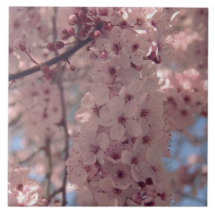 Cherry blossom Japan florroze  uniek Tegeltje