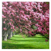 Cherry blossom Japan florroze  uniek Tegeltje (Voorkant)