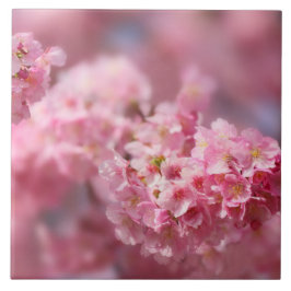 Cherry blossom Japan florroze  unieke Cer Tegeltje