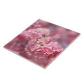 Cherry blossom Japan florroze  unieke Cer Tegeltje (Zijkant)